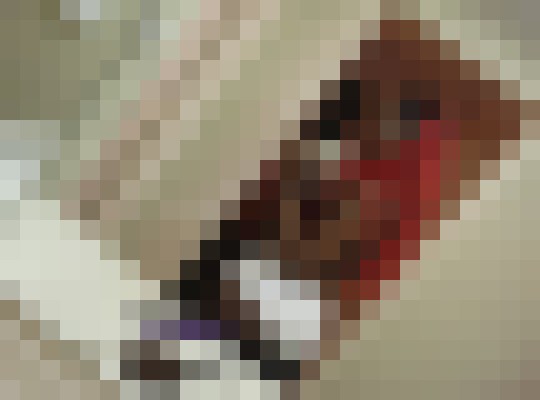 Jade5 Houston, Texas Escort, Pornstar, BDSM, Verified Adult Service Provider, Companion in United States | 3