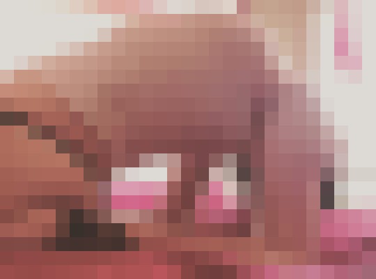 RowanHarper Austin, Texas Escort, , Verified Adult Service Provider, Companion in United States | 8