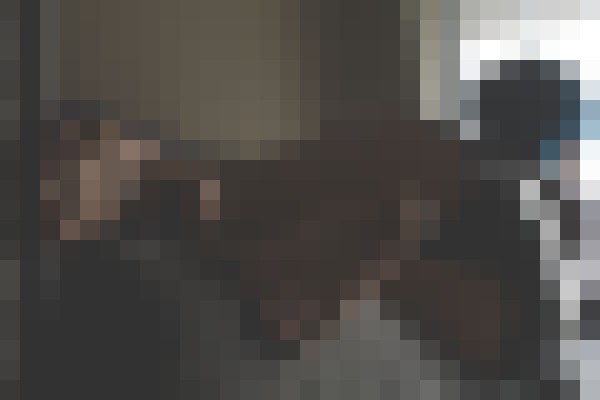 RowanHarper Austin, Texas Escort, , Verified Adult Service Provider, Companion in United States | 12