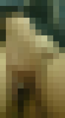 Angel19 Antwerp Escort, , Verified Adult Service Provider, Companion in Belgium | 6