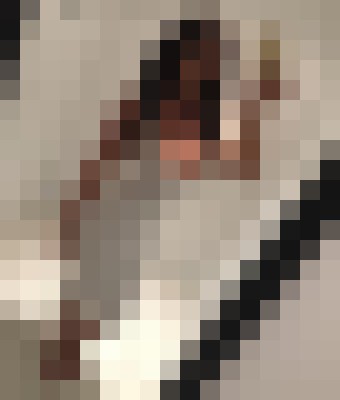 DubaiEscortElle Dubai Escort, Pornstar, BDSM, DUO, Massage, Verified Adult Service Provider, Companion in United Arab Emirates | 7