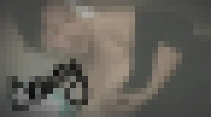 DSire Fort Worth, Texas Escort, , Verified Adult Service Provider, Companion in United States | 5