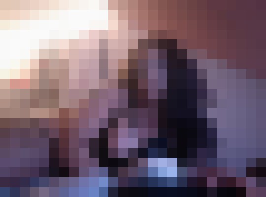 Tiffanie Tacoma, Washington Escort, Pornstar, BDSM, DUO, Couple, Verified Adult Service Provider, Companion in United States | 13