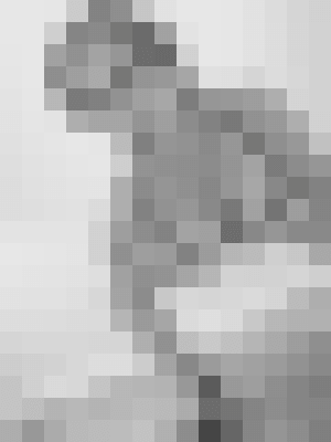 Jazzmin Jayde Palmdale, California Escort, Pornstar, BDSM, DUO, Verified Adult Service Provider, Companion in United States | 7