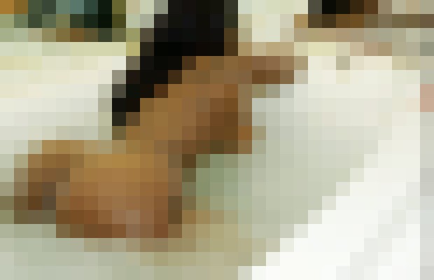 Dream's Palace Chicago, Illinois Escort, Massage, Verified Adult Service Provider, Companion in United States | 6