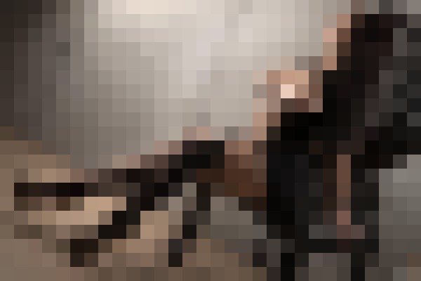 Sexy Charizma Miami, Florida Escort, Pornstar, BDSM, Verified Adult Service Provider, Companion in United States | 10