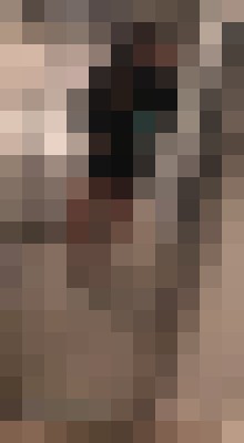 Persian Ava Las Vegas, Nevada Escort, , Verified Adult Service Provider, Companion in United States | 6