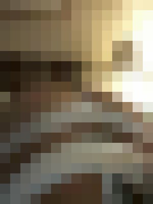 Honey Boxx Houston, Texas Escort, , Verified Adult Service Provider, Companion in United States | 13