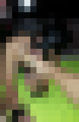 lili.latina Nantes Escort, , Verified Adult Service Provider, Companion in France | 14