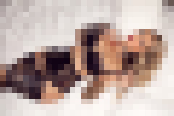 Skylar Silverstein Kowloon Escort, , Verified Adult Service Provider, Companion in Hong Kong | 12