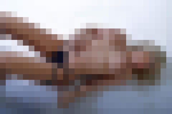 TV presenter Athens Escort, , Verified Adult Service Provider, Companion in Greece | 5