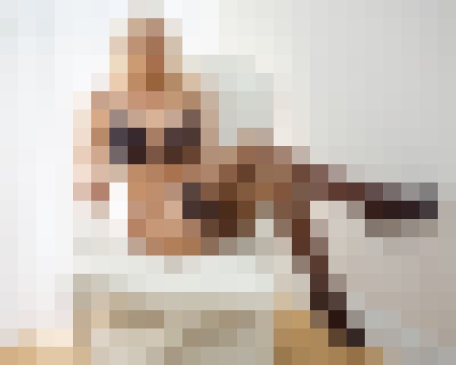 Holly22 Manhattan, New York Escort, , Verified Adult Service Provider, Companion in United States | 6