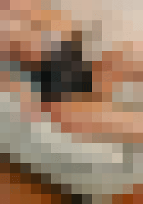 Sharlotte St. Louis, Missouri Escort, , Verified Adult Service Provider, Companion in United States | 3