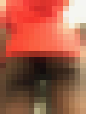 Chocolate GFE Fairfield, Connecticut Escort, , Verified Adult Service Provider, Companion in United States | 12