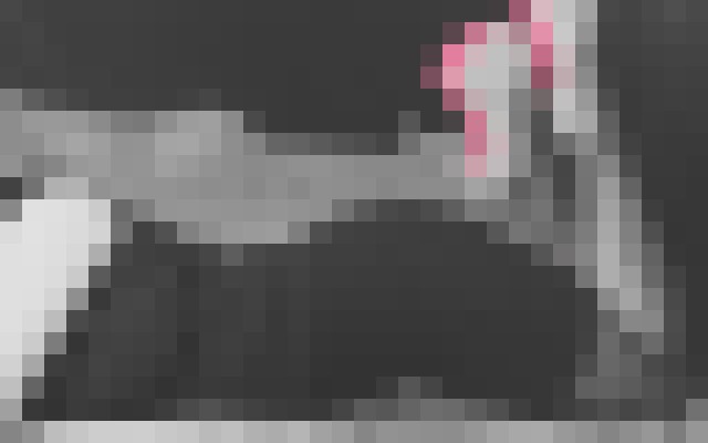 Jaina Darcy Edmonton Escort, BDSM, DUO, Couple, Massage, Verified Adult Service Provider, Companion in Canada | 12
