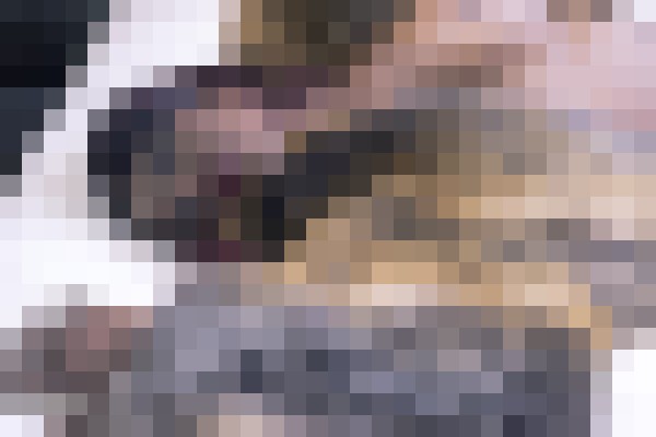 KelliProvocateur New York Escort, Pornstar, BDSM, Verified Adult Service Provider, Companion in United States | 3