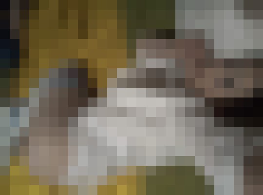 MrzPeach Houston, Texas Escort, Pornstar, Verified Adult Service Provider, Companion in United States | 8