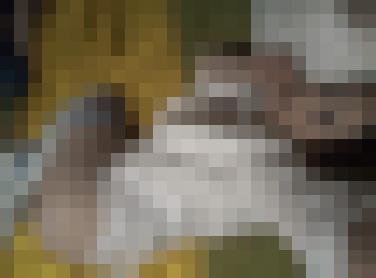 MrzPeach Houston, Texas Escort, Pornstar, Verified Adult Service Provider, Companion in United States | 12