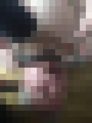 piskhoranbosse Stockholm Escort, BDSM, Couple, Verified Adult Service Provider, Companion in Sweden | 5