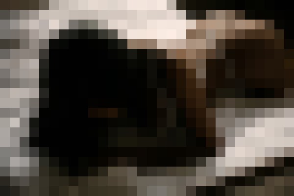 CarmenTorres Atlanta, Georgia Escort, BDSM, DUO, Couple, Verified Adult Service Provider, Companion in United States | 14