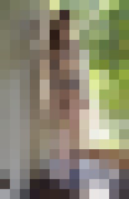 Penelope Archer Los Angeles, California Escort, , Verified Adult Service Provider, Companion in United States | 6