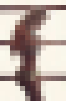 Cassandra Ryne New York Escort, Pornstar, Verified Adult Service Provider, Companion in United States | 5