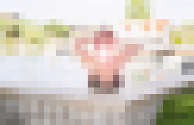 Kate Layne Las Vegas, Nevada Escort, Pornstar, BDSM, DUO, Couple, Massage, Verified Adult Service Provider, Companion in United States | 11