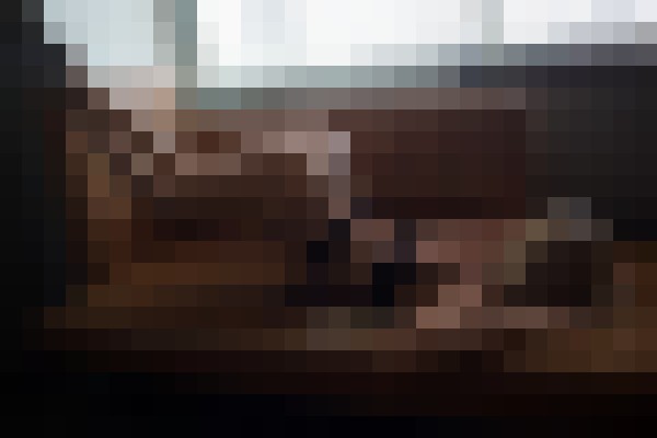 Bella Russia Chicago, Illinois Escort, , Verified Adult Service Provider, Companion in United States | 10
