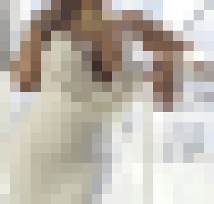 Sarahstarlight Montreal Escort, , Verified Adult Service Provider, Companion in Canada | 5