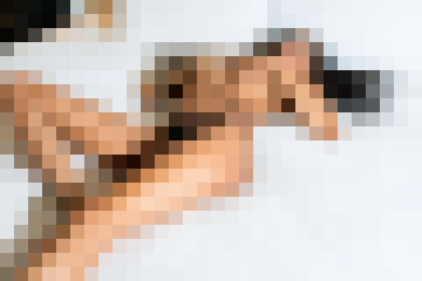 Kashmere San Jose, California Escort, , Verified Adult Service Provider, Companion in United States | 2