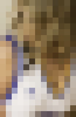 Penelope Brooks San Jose, California Escort, , Verified Adult Service Provider, Companion in United States | 6