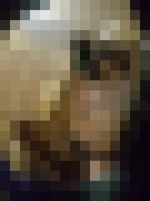 Piper33 Tempe, Arizona Escort, Pornstar, Couple, Verified Adult Service Provider, Companion in United States | 5