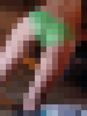 Piper33 Tempe, Arizona Escort, Pornstar, Couple, Verified Adult Service Provider, Companion in United States | 8