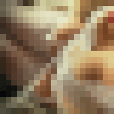 VALENTINA REX New York Escort, , Verified Adult Service Provider, Companion in United States | 5