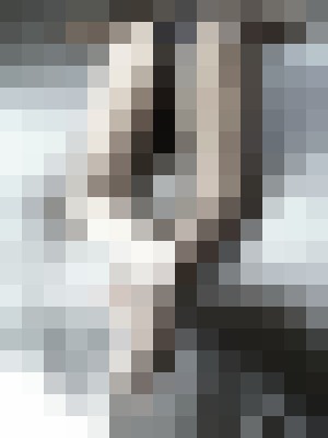 Becca Bodhi Milwaukee, Wisconsin Escort, Pornstar, Verified Adult Service Provider, Companion in United States | 6