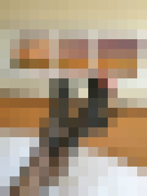 Stefany Harrington Chicago, Illinois Escort, , Verified Adult Service Provider, Companion in United States | 4