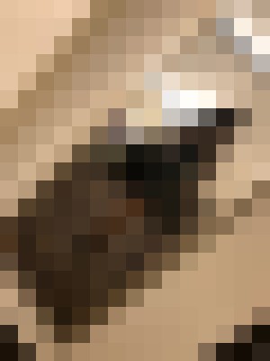 FilipinaJuJu Oceanside, California Escort, Pornstar, BDSM, DUO, Verified Adult Service Provider, Companion in United States | 11