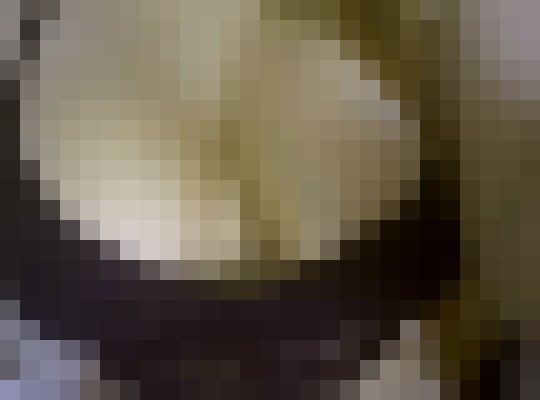 Lorenabackp Fort Lauderdale, Florida Escort, , Verified Adult Service Provider, Companion in United States | 6