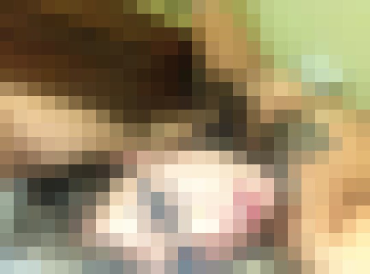 Justinepristine Reno, Nevada Escort, Pornstar, BDSM, DUO, Couple, Verified Adult Service Provider, Companion in United States | 16