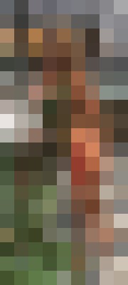 AndreaGrey Phoenix, Arizona Escort, Pornstar, DUO, Couple, Massage, Verified Adult Service Provider, Companion in United States | 6