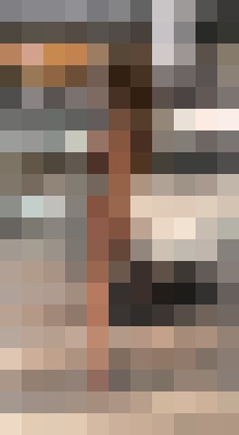 AndreaGrey Phoenix, Arizona Escort, Pornstar, DUO, Couple, Massage, Verified Adult Service Provider, Companion in United States | 7