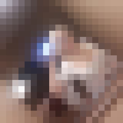 Magnum6464 Ottawa Escort, BDSM, Verified Adult Service Provider, Companion in Canada | 13