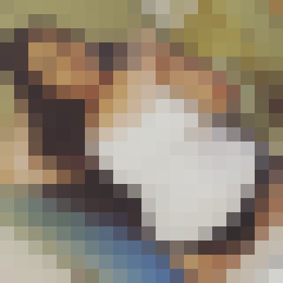 Luy mae Everett, Washington Escort, , Verified Adult Service Provider, Companion in United States | 2