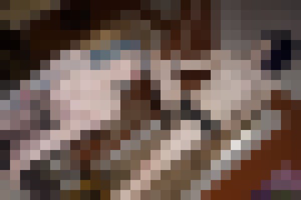 Xena Kitty Boston, Massachusetts Escort, Pornstar, DUO, Couple, Verified Adult Service Provider, Companion in United States | 11