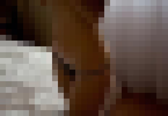 Sarina San Francisco, California Escort, Massage, Verified Adult Service Provider, Companion in United States | 7