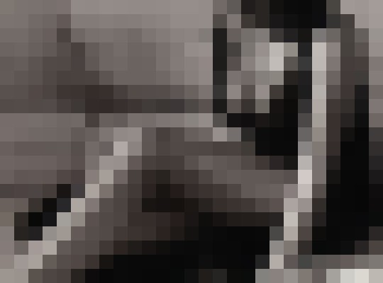 MiztressViktoria San Francisco, California Escort, BDSM, Verified Adult Service Provider, Companion in United States | 4