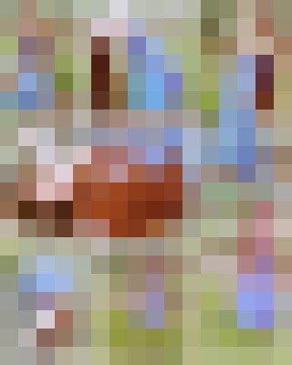 Lady Monica Knoxville, Tennessee Escort, , Verified Adult Service Provider, Companion in United States | 6