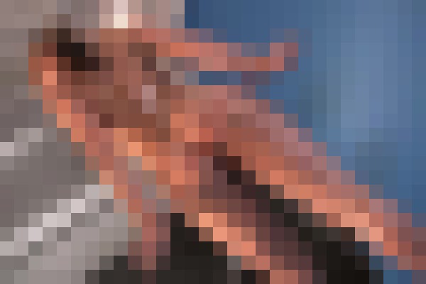 Superbusty Laura Miami Beach, Florida Escort, Pornstar, Verified Adult Service Provider, Companion in United States | 8