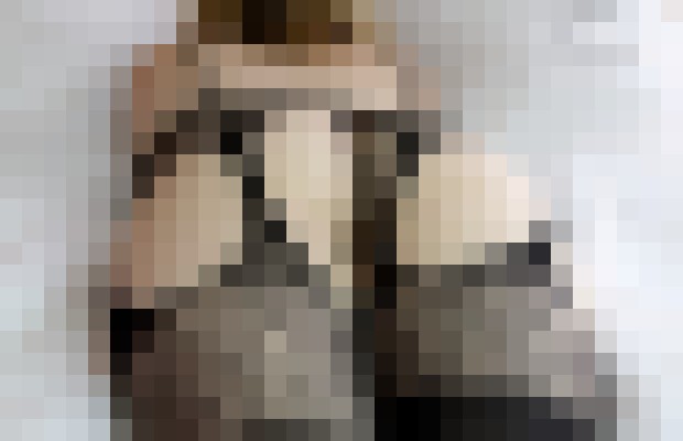 LeAnne Moira Denver, Colorado Escort, BDSM, DUO, Couple, Verified Adult Service Provider, Companion in United States | 7