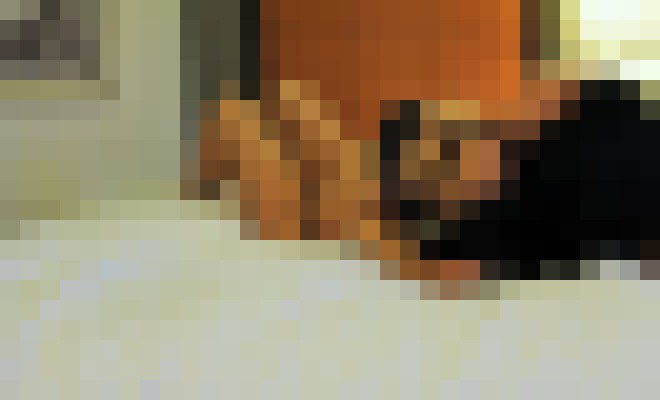 Sophia Dane Dallas, Texas Escort, , Verified Adult Service Provider, Companion in United States | 3